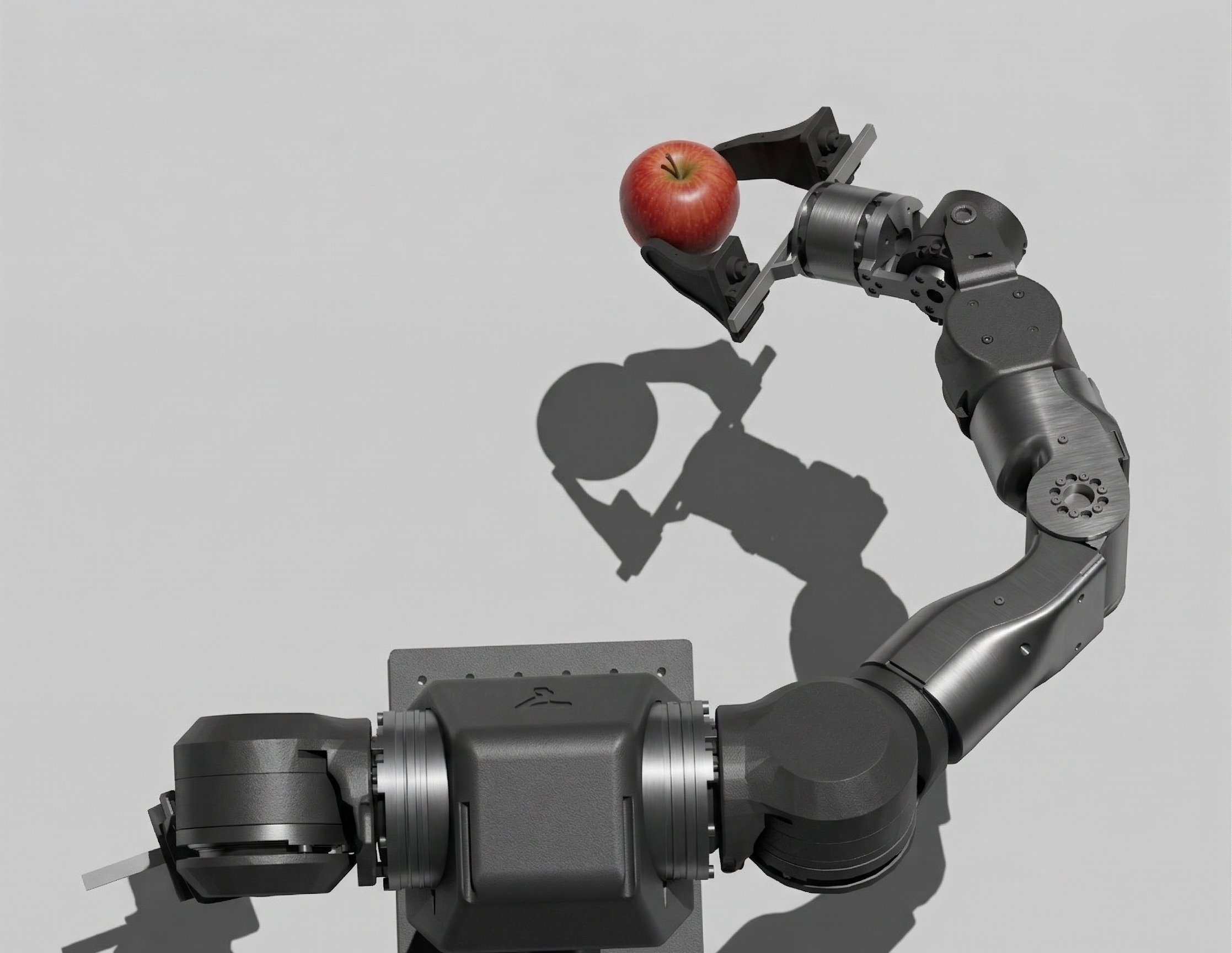 Neural Architectures