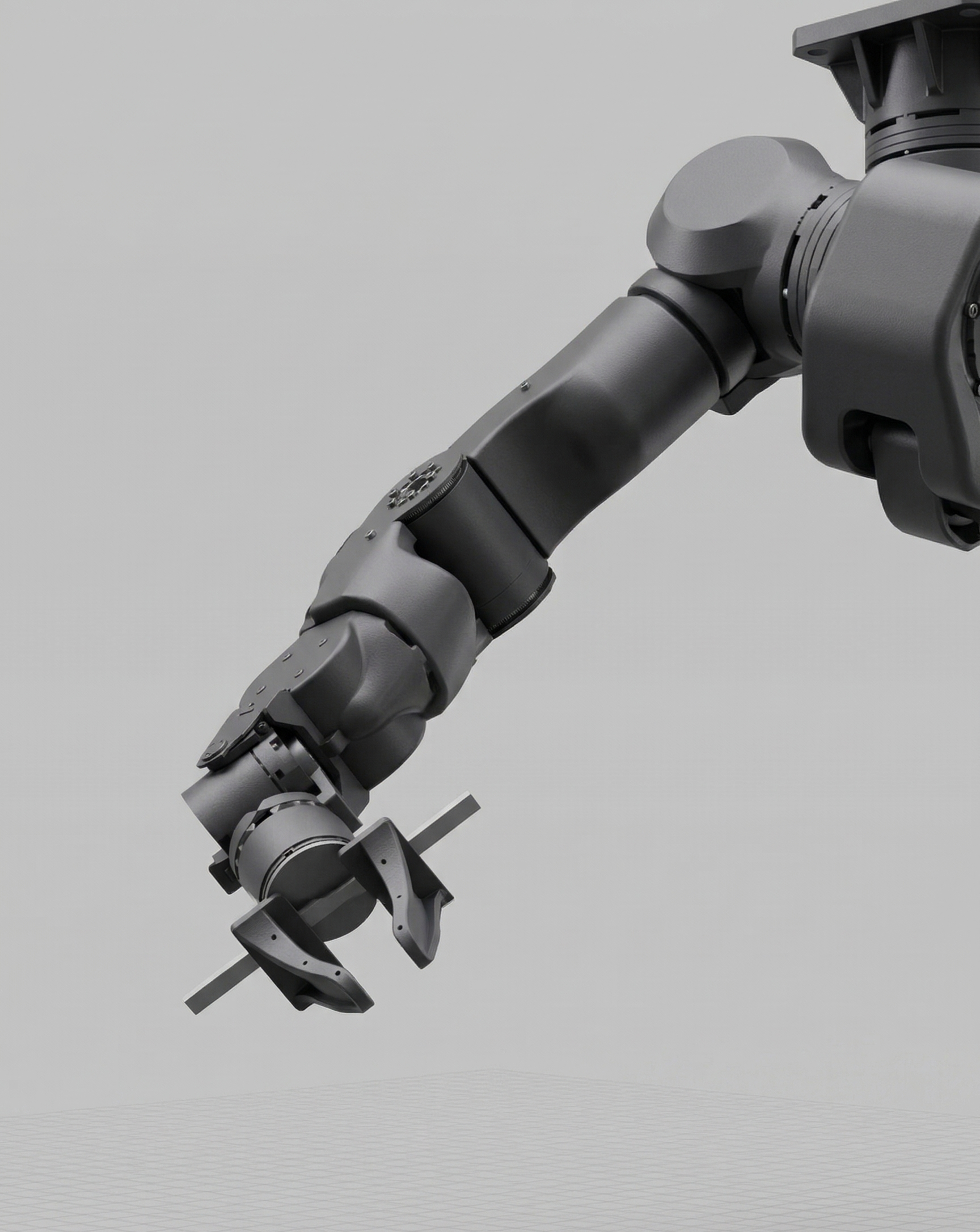 Neural Architectures