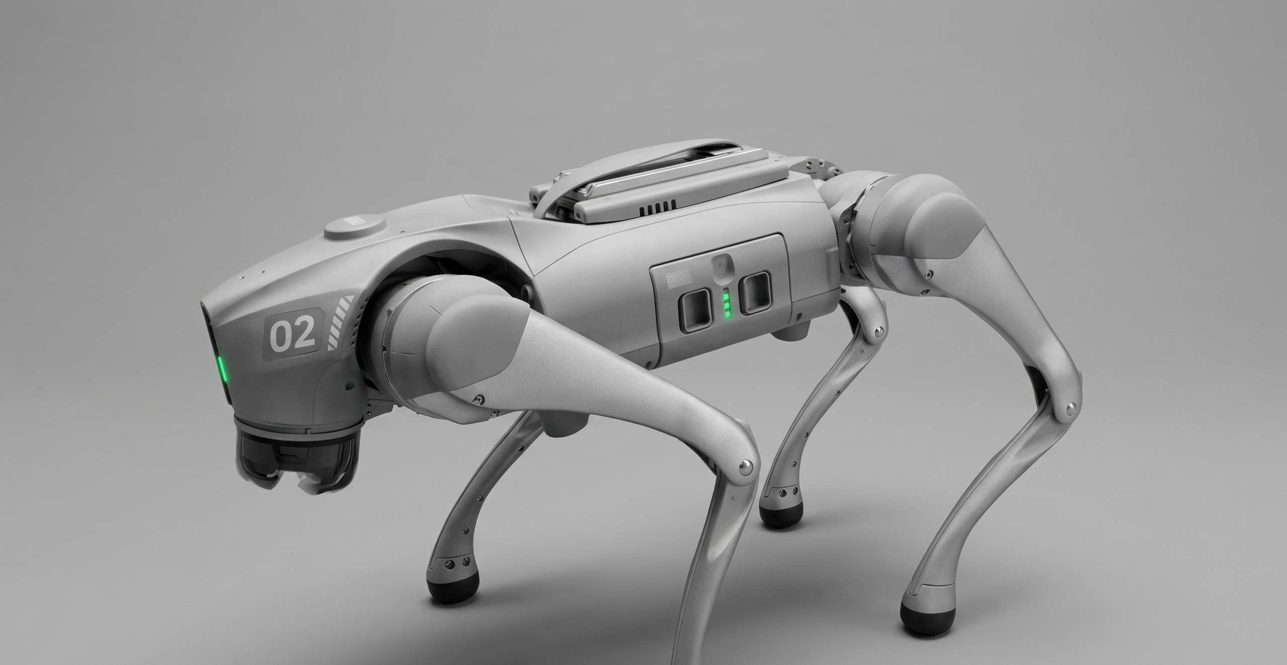 Cross-Embodiment Robotic Generalization