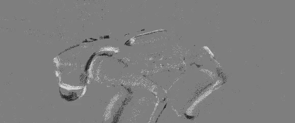 Real-Time Robotic Control